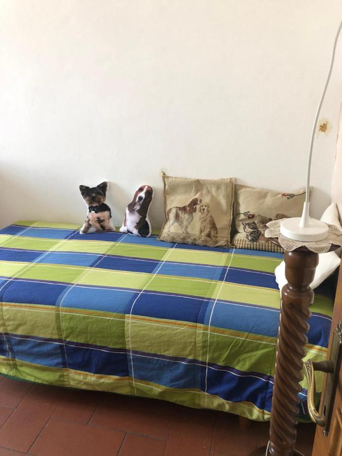Solo Traveller Bedroom In Homestays City Center Florence Exterior photo